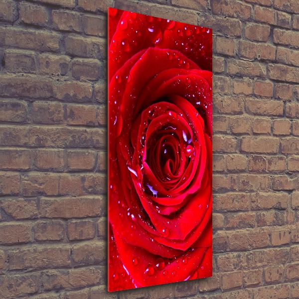 Modernes Acrylbild vertikal Rote Rose