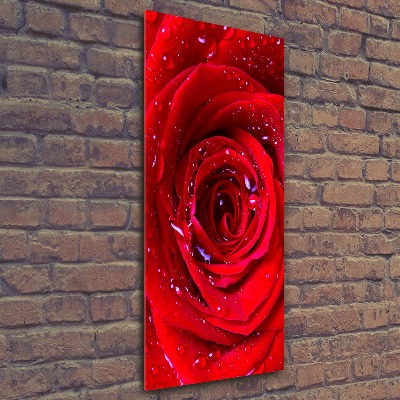 Modernes Acrylbild vertikal Rote Rose
