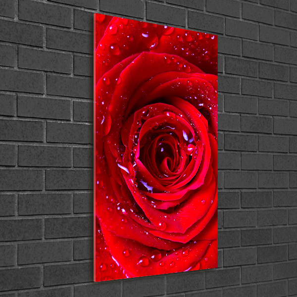 Modernes Acrylbild vertikal Rote Rose