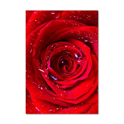 Modernes Acrylbild vertikal Rote Rose