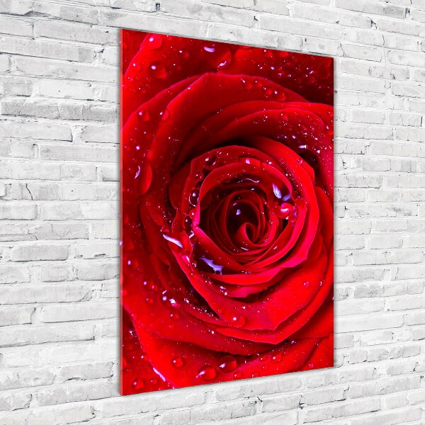 Modernes Acrylbild vertikal Rote Rose