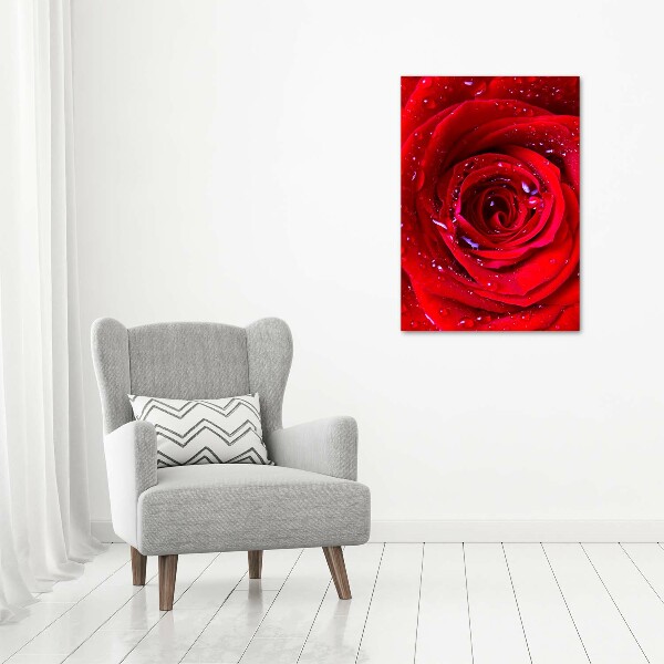 Modernes Acrylbild vertikal Rote Rose