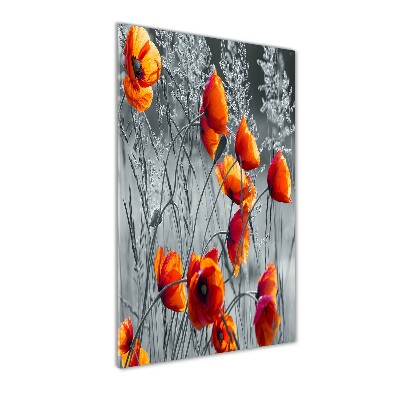 Bild auf Acrylglas vertikal Wildmohn