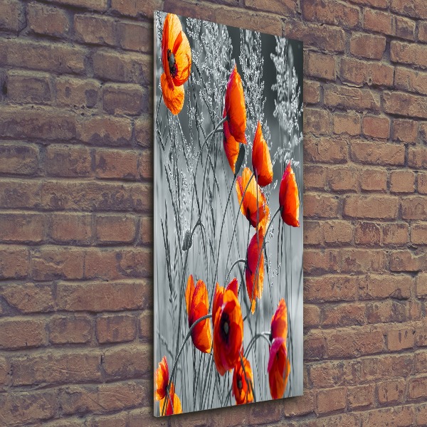 Bild auf Acrylglas vertikal Wildmohn