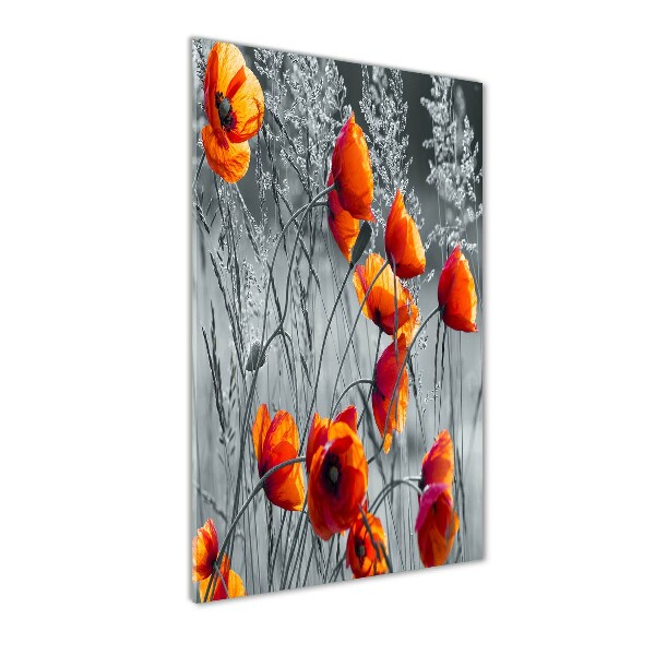 Bild auf Acrylglas vertikal Wildmohn