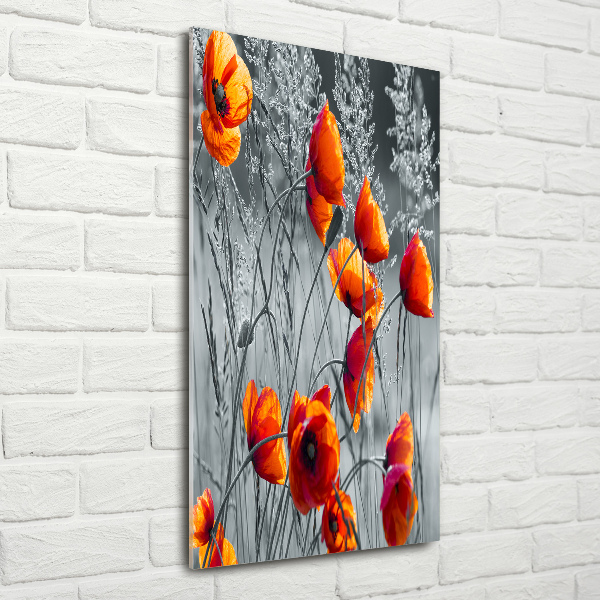 Bild auf Acrylglas vertikal Wildmohn