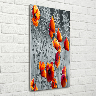 Bild auf Acrylglas vertikal Wildmohn