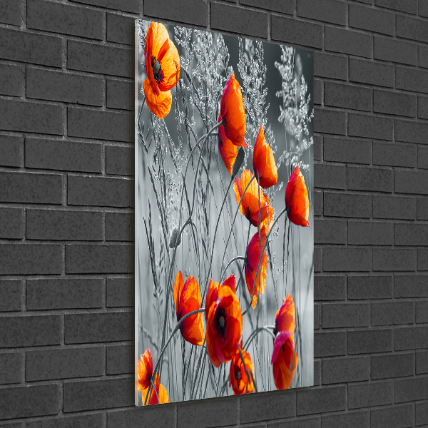 Bild auf Acrylglas vertikal Wildmohn
