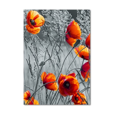 Bild auf Acrylglas vertikal Wildmohn