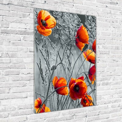 Bild auf Acrylglas vertikal Wildmohn