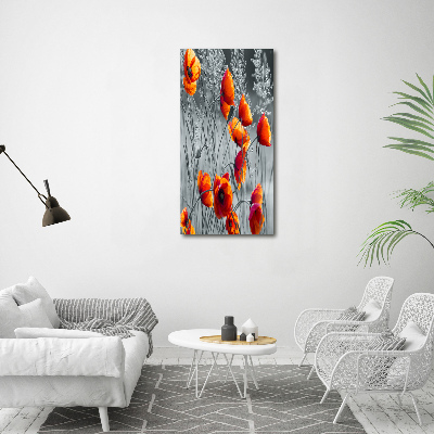 Bild auf Acrylglas vertikal Wildmohn
