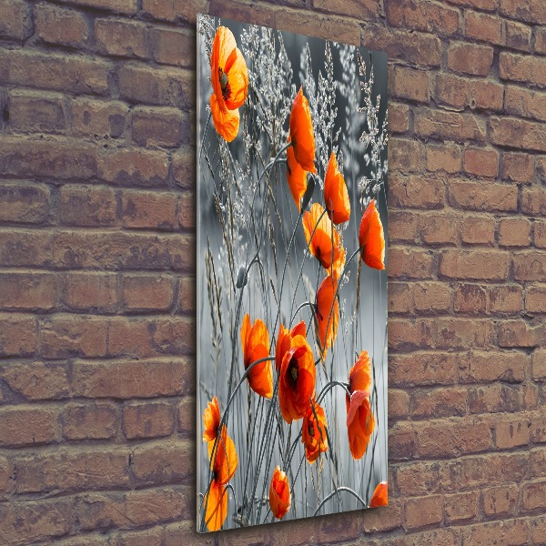 Plexiglasbilder vertikal Wildmohn