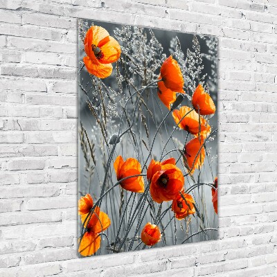 Plexiglasbilder vertikal Wildmohn