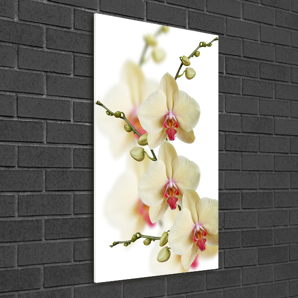 Acrylbild vertikal Orchidee