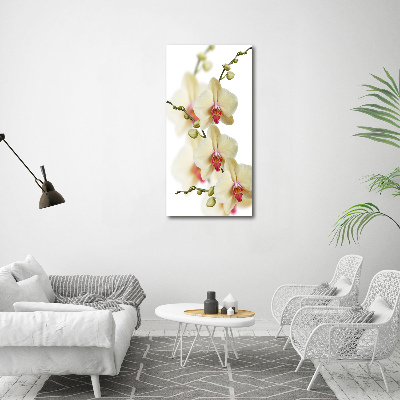 Acrylbild vertikal Orchidee