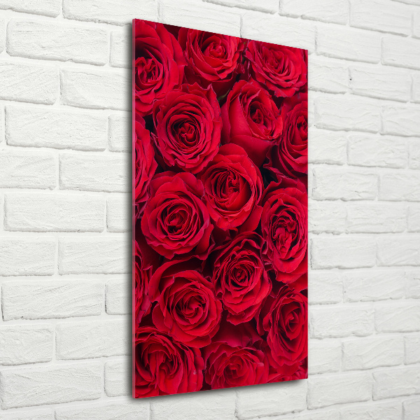 Bild auf Acrylglas vertikal Rote Rose