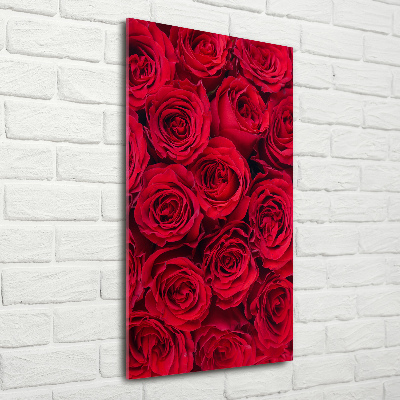 Bild auf Acrylglas vertikal Rote Rose