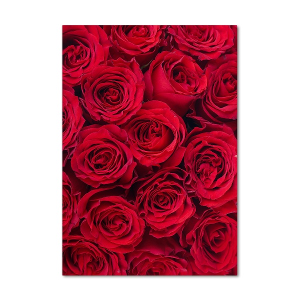 Bild auf Acrylglas vertikal Rote Rose