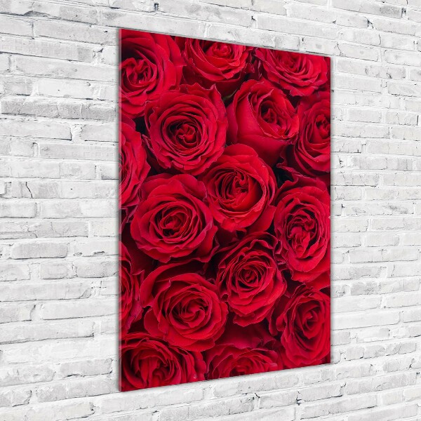 Bild auf Acrylglas vertikal Rote Rose