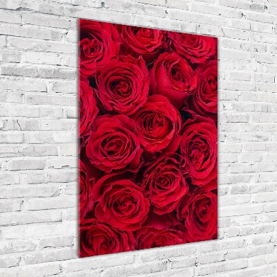 Bild auf Acrylglas vertikal Rote Rose