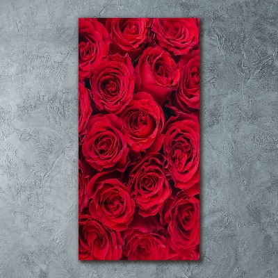 Bild auf Acrylglas vertikal Rote Rose