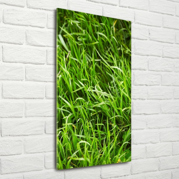 Bild auf Acrylglas vertikal Gras