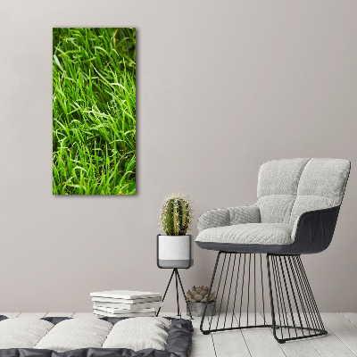 Bild auf Acrylglas vertikal Gras
