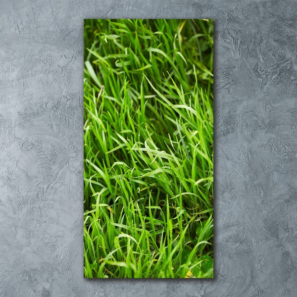 Bild auf Acrylglas vertikal Gras