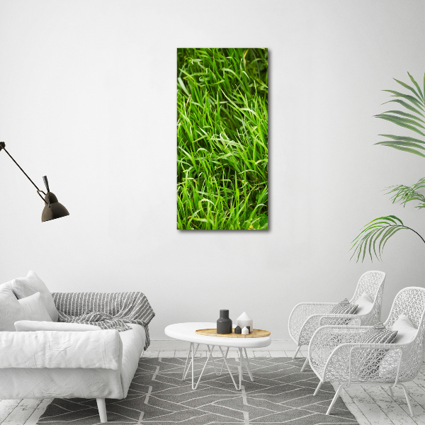 Bild auf Acrylglas vertikal Gras