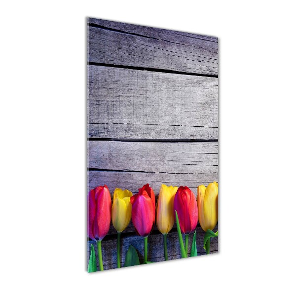 Plexiglasbilder vertikal Bunte Tulpen