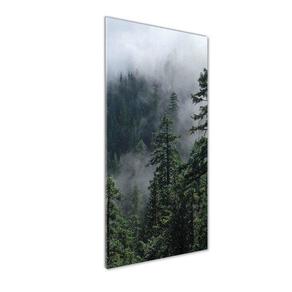 Bild auf Acrylglas vertikal Nebel über dem Wald
