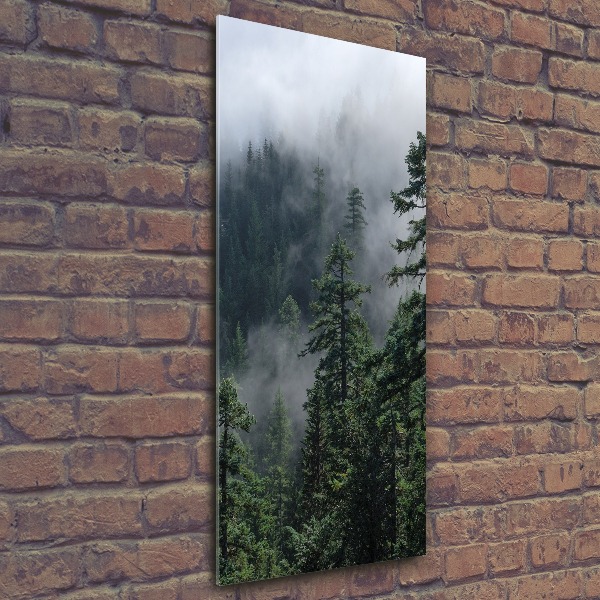 Bild auf Acrylglas vertikal Nebel über dem Wald