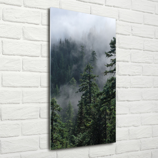 Bild auf Acrylglas vertikal Nebel über dem Wald
