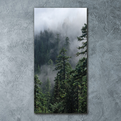 Bild auf Acrylglas vertikal Nebel über dem Wald