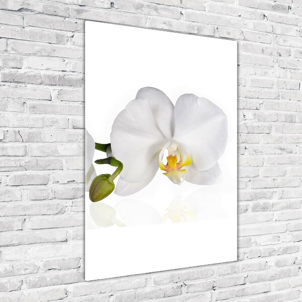 Modernes Acrylbild vertikal Weiße Orchidee