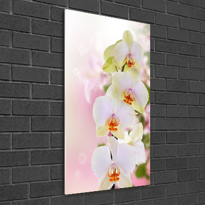 Acrylbild vertikal Weiße Orchidee