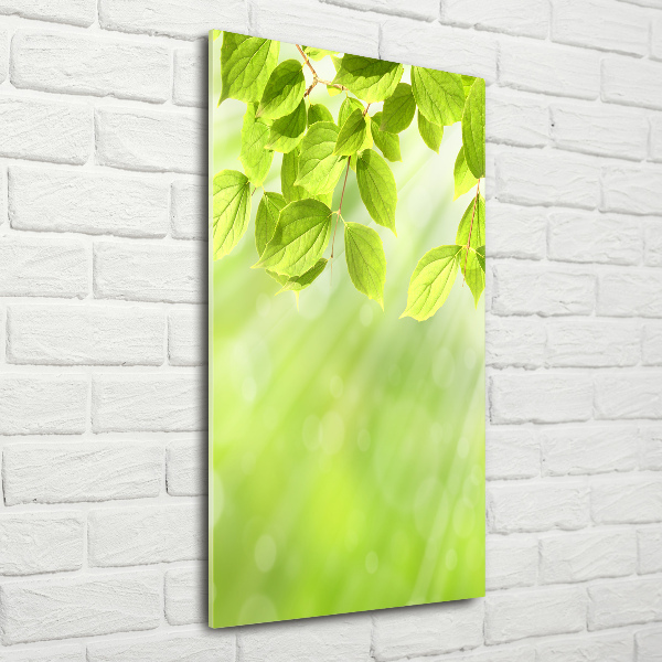 Acrylbild vertikal Grüne Blätter
