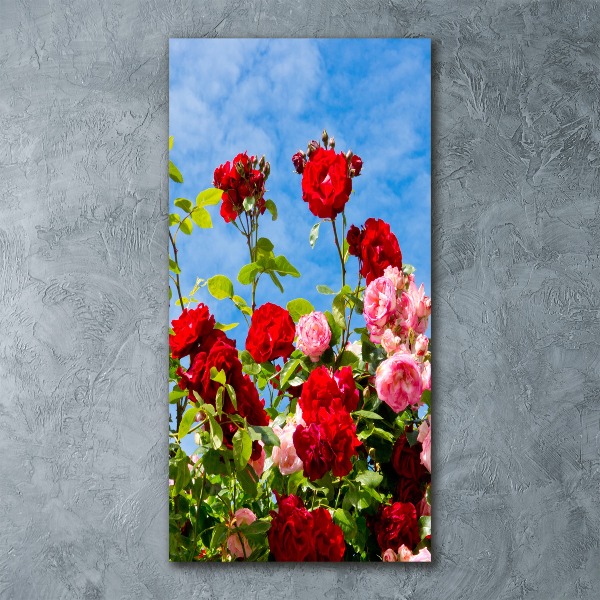 Plexiglasbilder vertikal Dornen