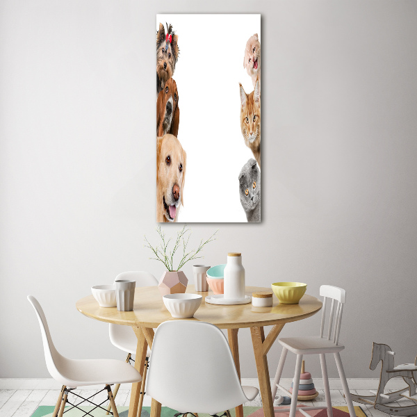 Bild auf Acrylglas vertikal Hunde und Katzen
