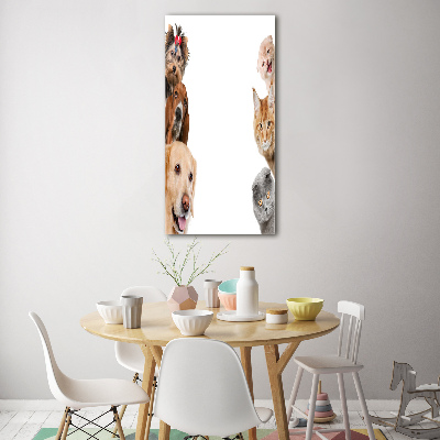 Bild auf Acrylglas vertikal Hunde und Katzen