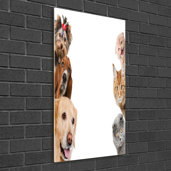 Bild auf Acrylglas vertikal Hunde und Katzen
