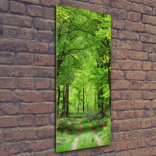 Bild auf Acrylglas vertikal Grüner Wald
