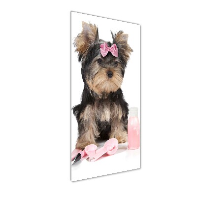 Modernes Acrylbild vertikal Yorkshire Kosmetik