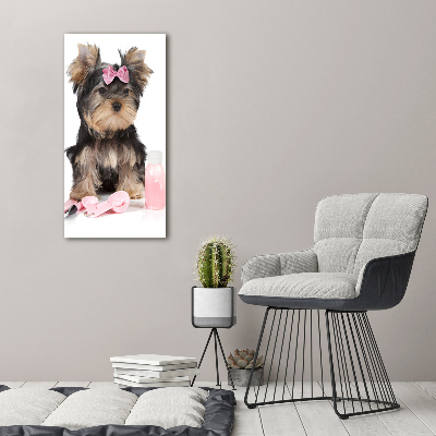 Modernes Acrylbild vertikal Yorkshire Kosmetik