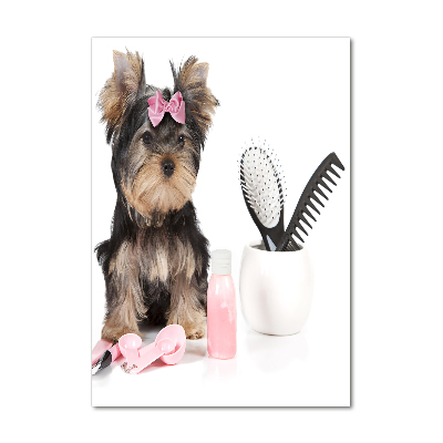 Modernes Acrylbild vertikal Yorkshire Kosmetik