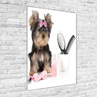 Modernes Acrylbild vertikal Yorkshire Kosmetik