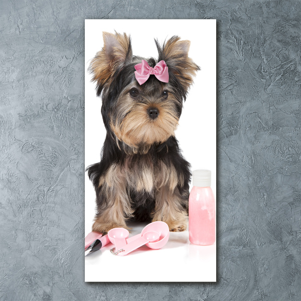 Modernes Acrylbild vertikal Yorkshire Kosmetik