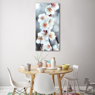 Bild auf Acrylglas vertikal Kirschblüten