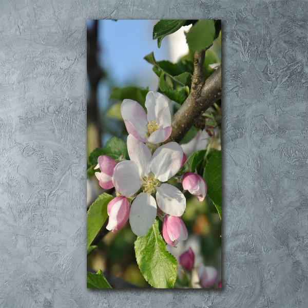 Plexiglasbilder vertikal Kirschblüten