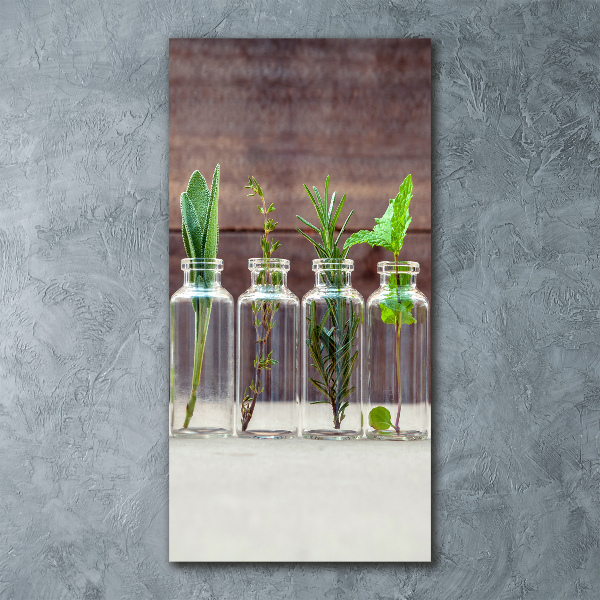 Acrylbild vertikal Kräuter im Glas